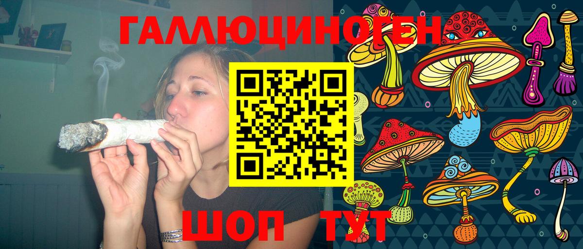 Галлюциногенные грибы Psilocybine cubensis  Вход с VPN  Псилоцибиновые грибы Psilocybe  Междуреченск 